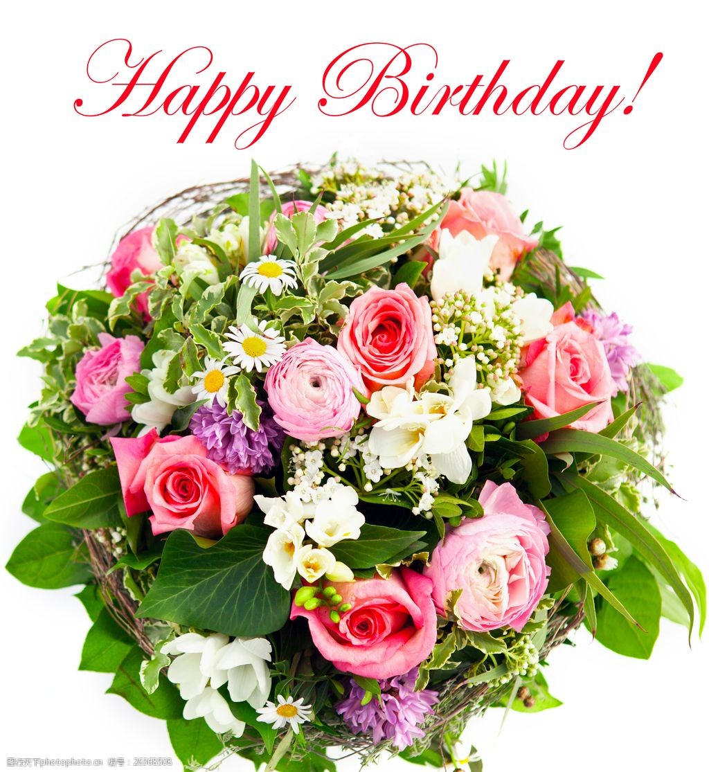 设计图库 高清素材 动植物 关键词:唯美鲜艳花球高清图片下载 花卉