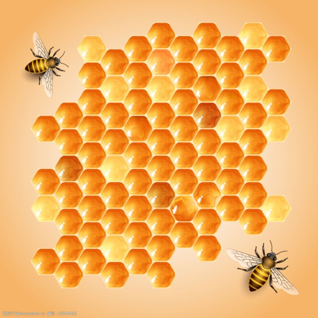 蜜蜂蜂巢设计矢量素材
