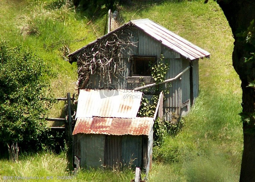 草丛中的铁皮屋