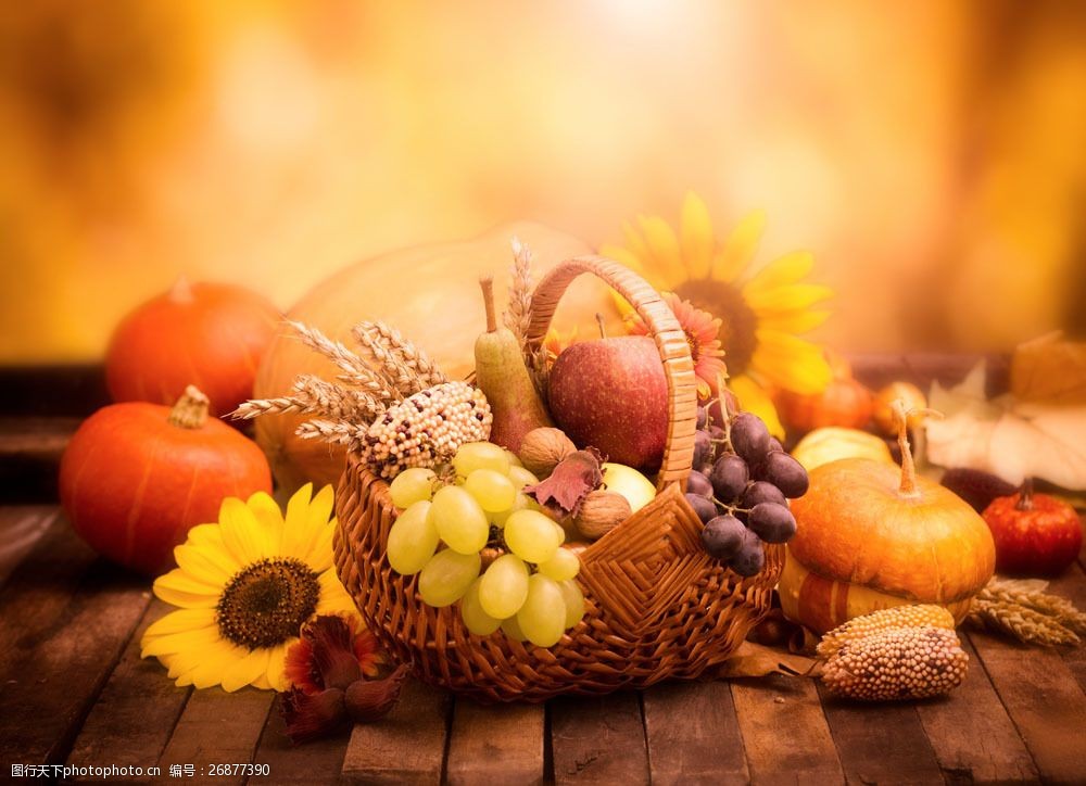 关键词:秋天丰收蔬菜图片素材 太阳花 南瓜 玉米 葡萄 新鲜蔬菜 果实