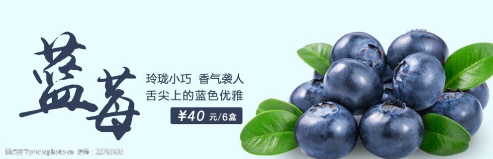 蓝莓广告首页