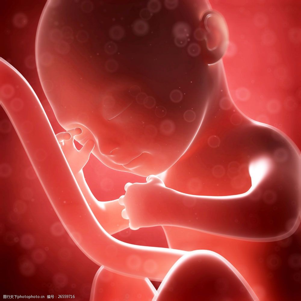 脐带连接的婴儿图片