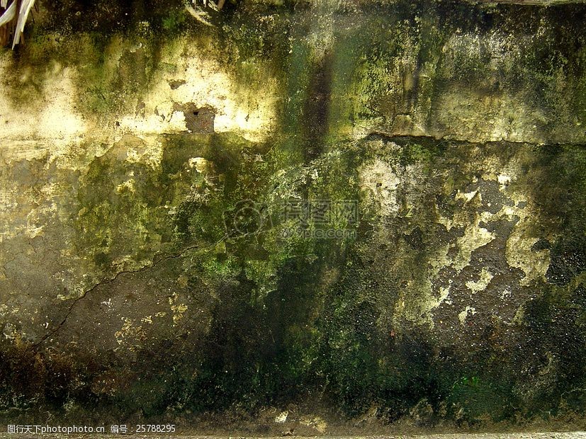 关键词:长满苔藓的墙壁 墙壁 墙 墙面 苔藓 绿色     红色 jpg