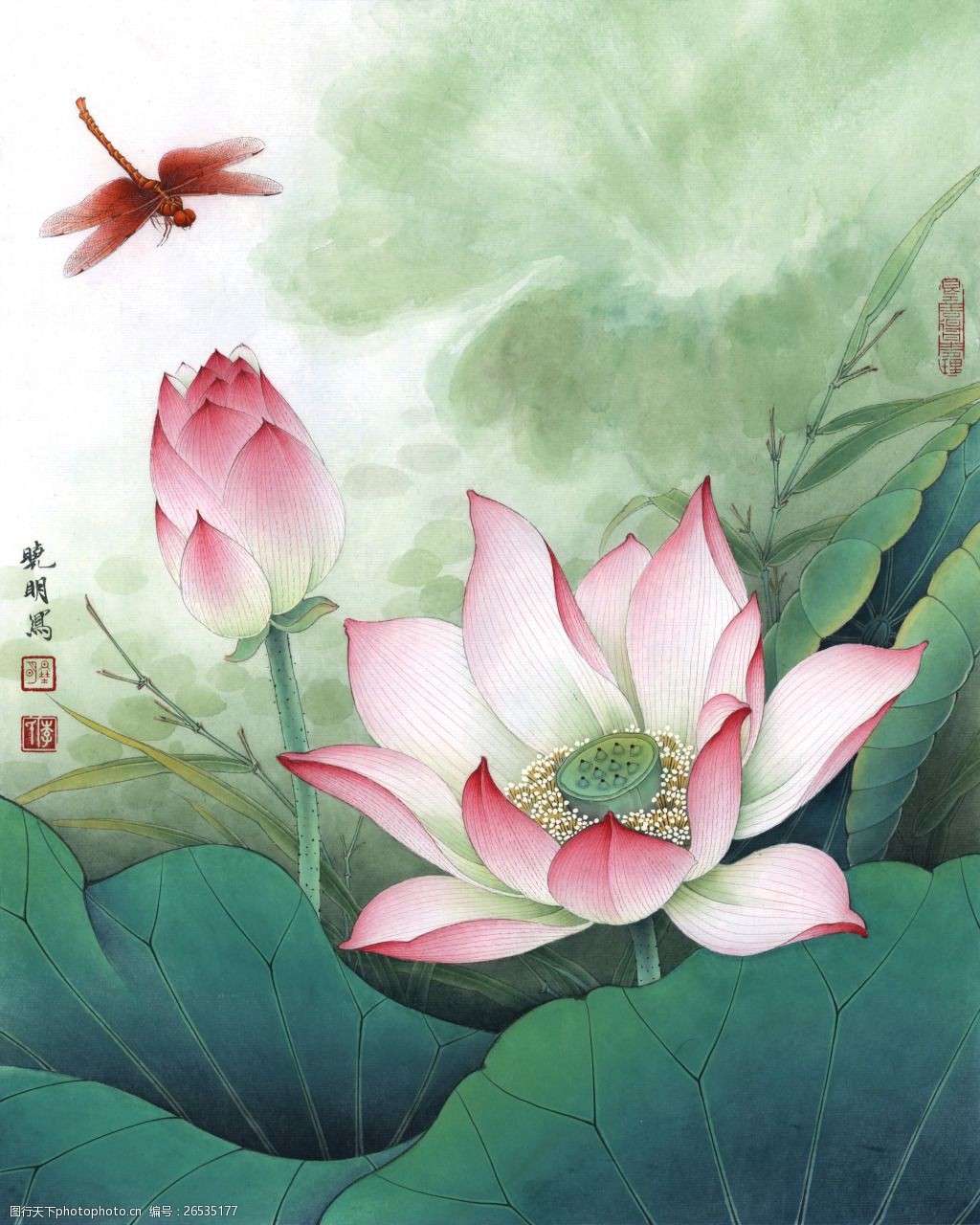 关键词:荷花红蜻蜓1 李晓明 工笔花鸟 唯美 装饰画素材 传统