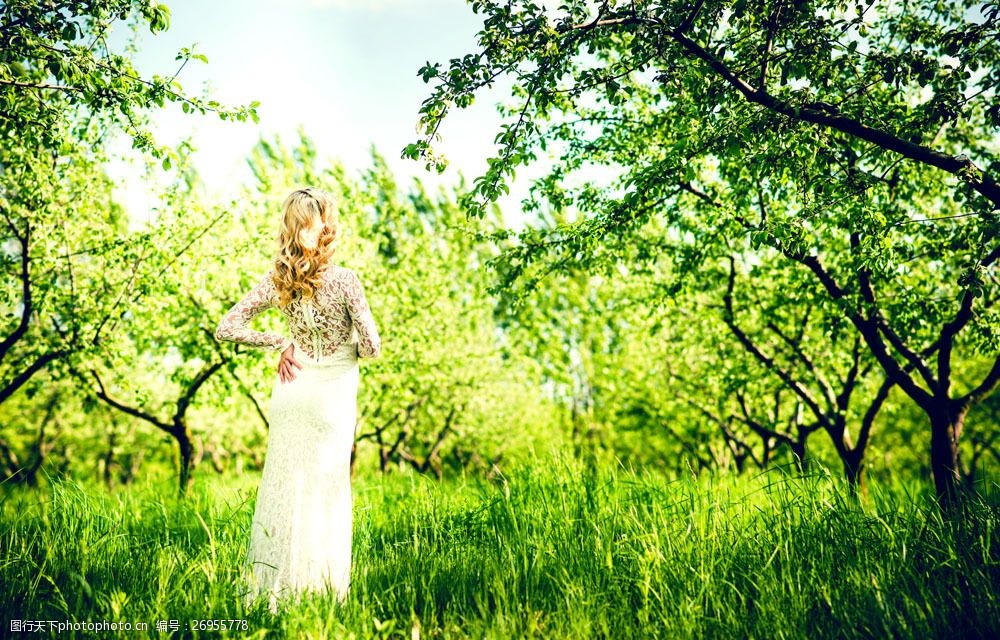 绿树下的性感美女图片图片-图行天下图库