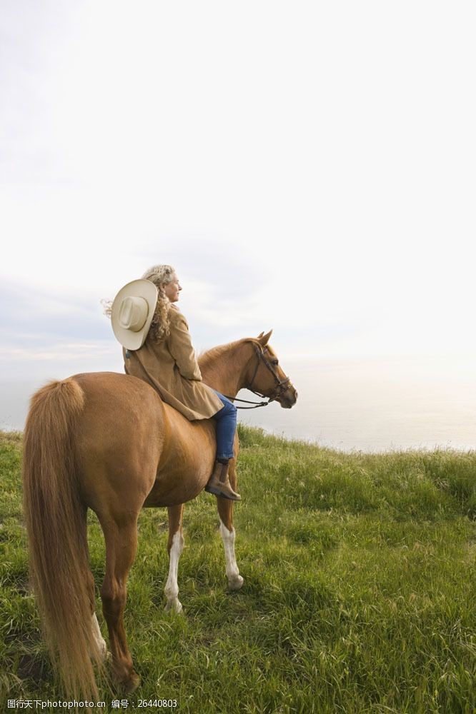 草原美女骑马背影图片图片