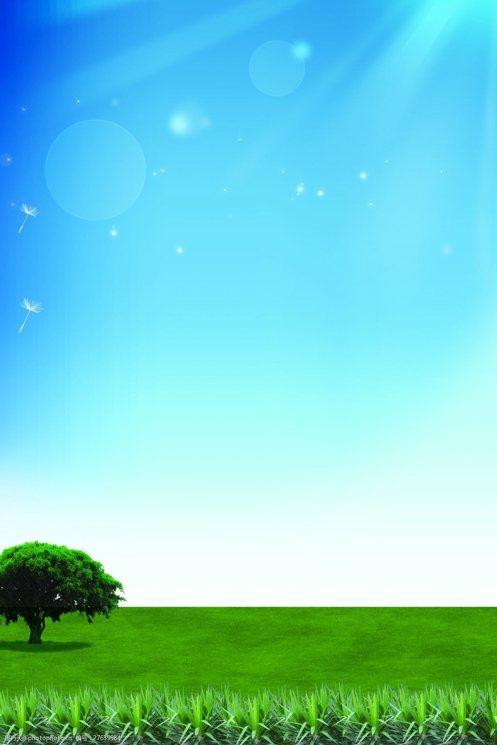 蓝天白云春天草地大树
