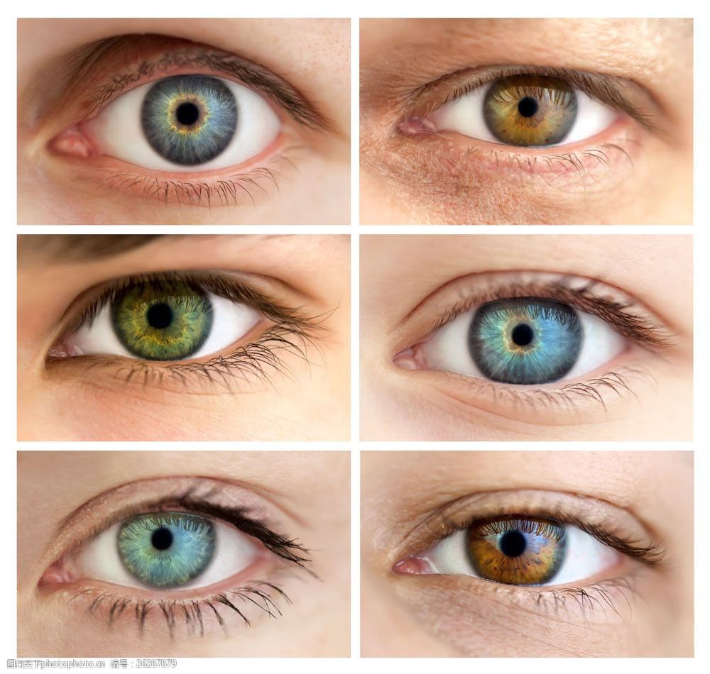 外国女性眼睛图片素材 眼睛 眼睛特写 瞳孔 眼珠 眼球 女性眼睛 人体