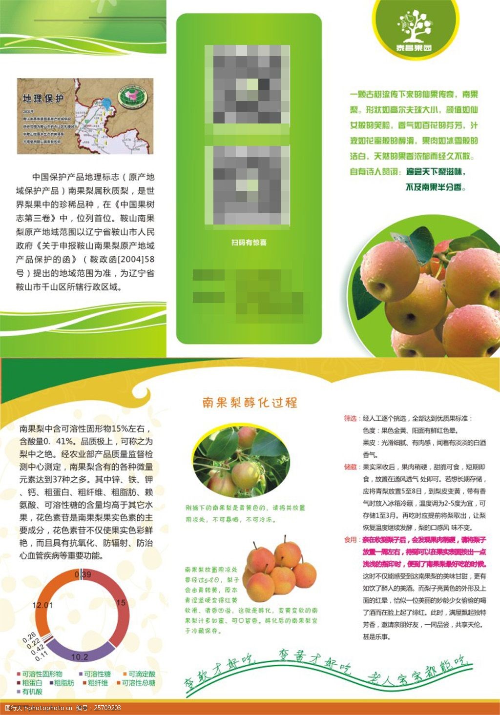 南果梨精品推荐