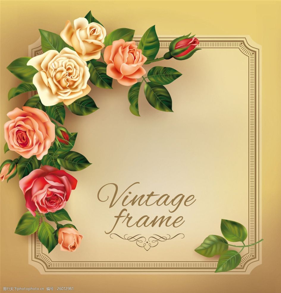 精美玫瑰花边框背景矢量素材