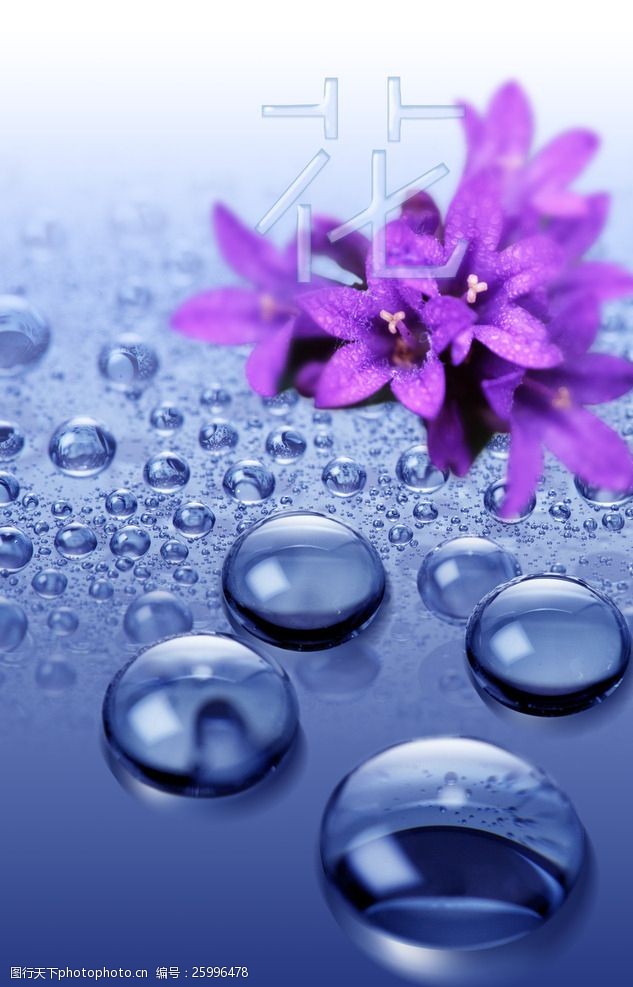 唯美水滴花朵psd背景