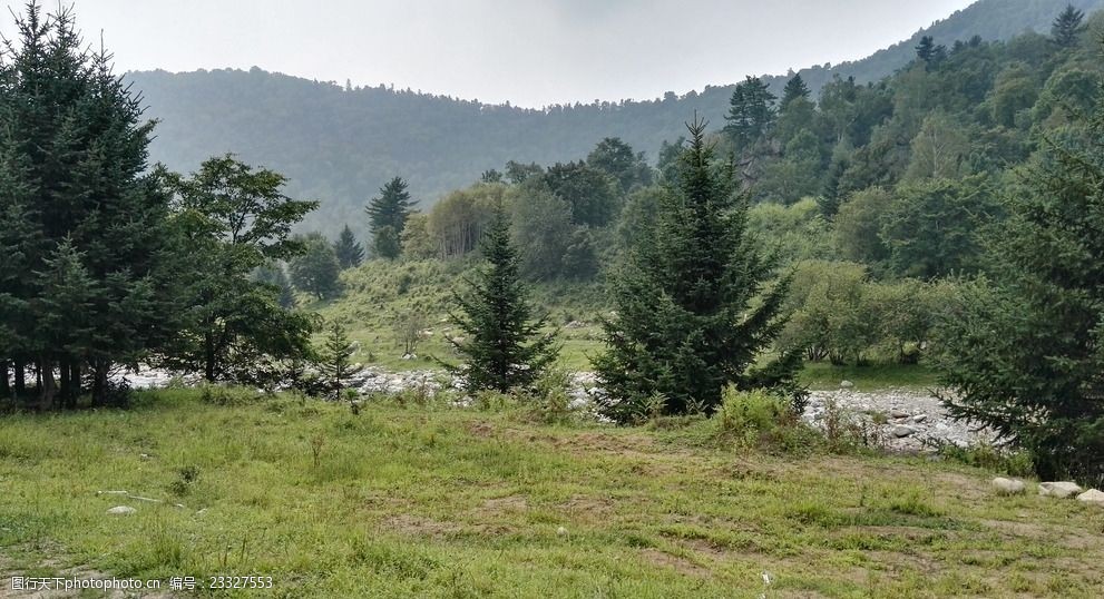 關鍵詞:河邊的松樹 松樹 樹 小樹 河邊 野外 山 大山 風景 戶外 大